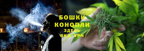 PSILOCYBIN Абаза