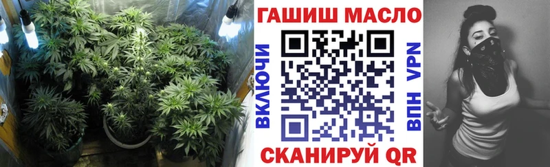даркнет сайт  Бирюсинск  ТГК вейп 